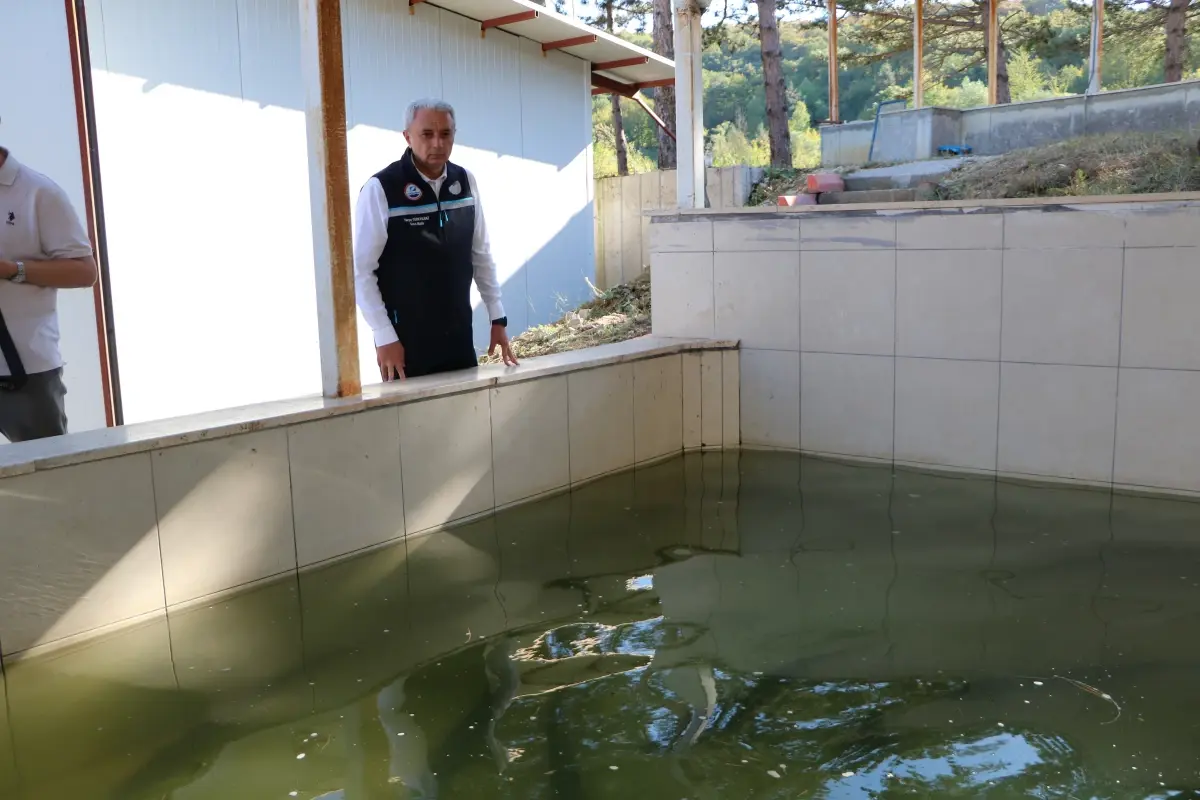 mersin baligi uretimi basliyor M67PvYk8