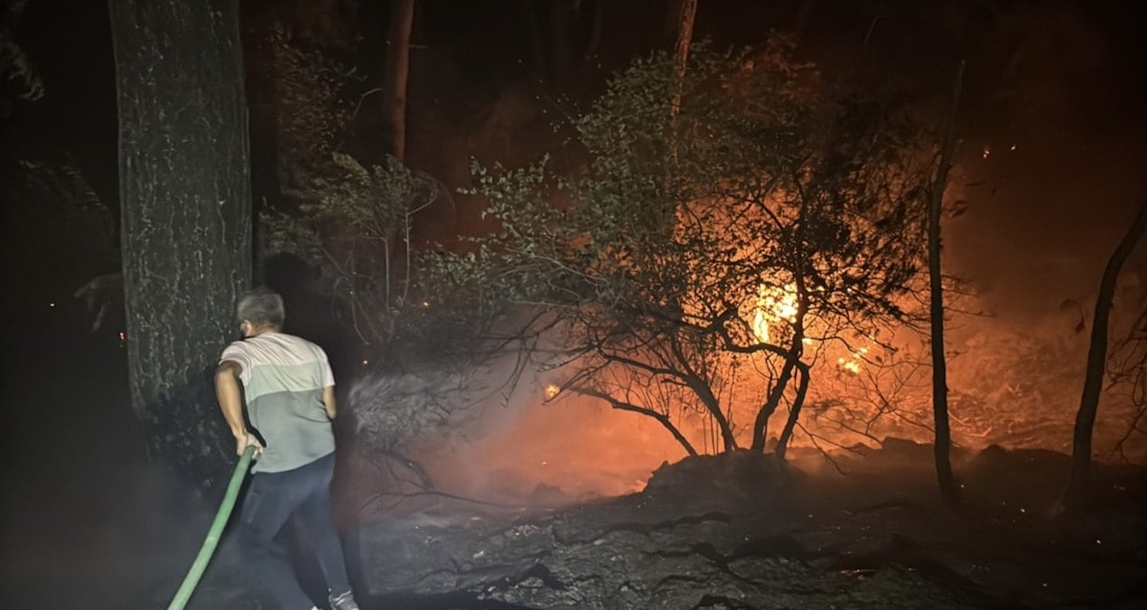 muglada 4 farkli noktada orman yangini q91aLted