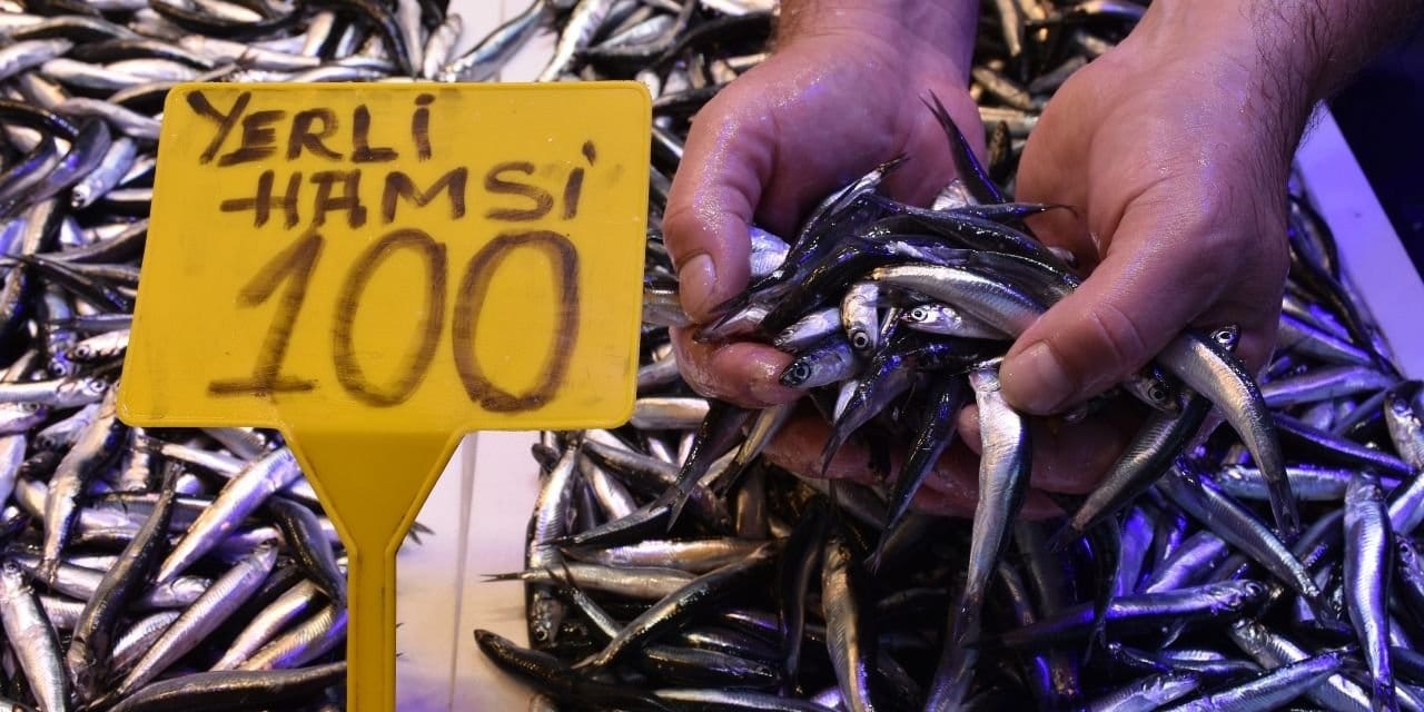 sezon acildi hamsinin kilosu 100 lira DRsAfO5V