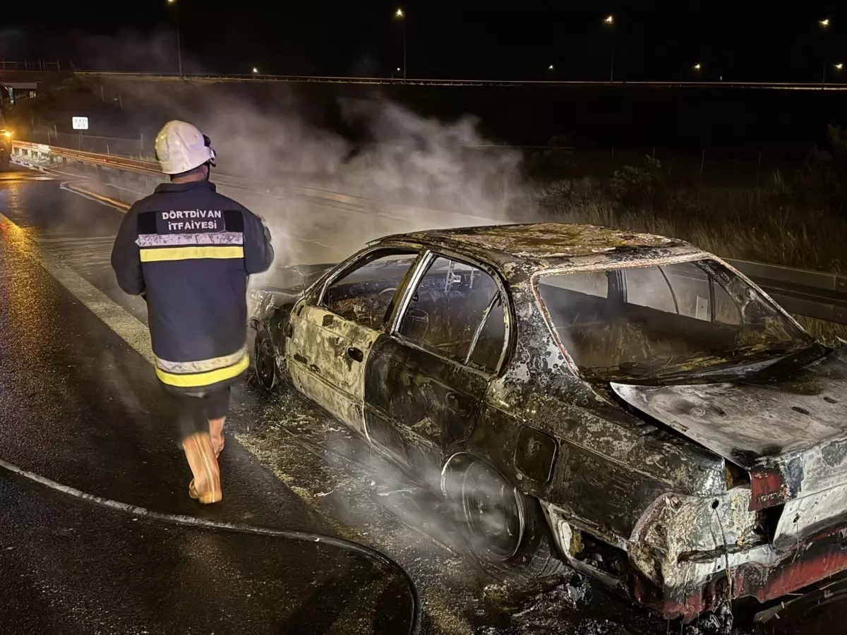 boluda seyir halindeki otomobil alev aldi eAbIZl8H.jpg