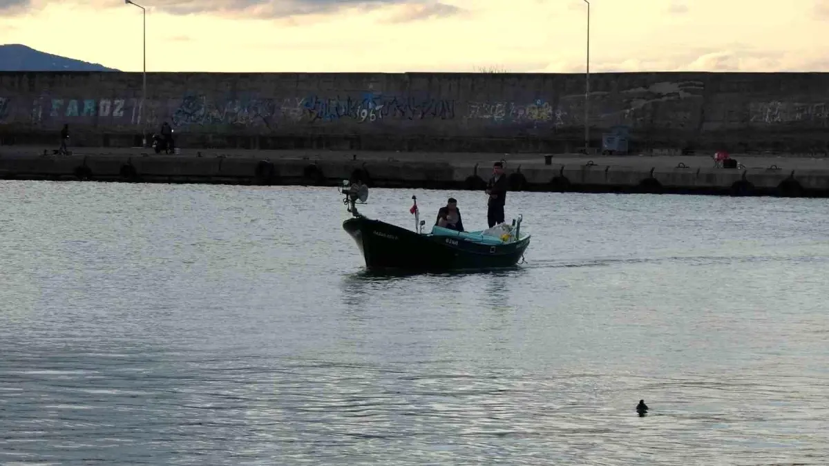 dogu karadenizde palamut krizi dzAzbCSI.jpg