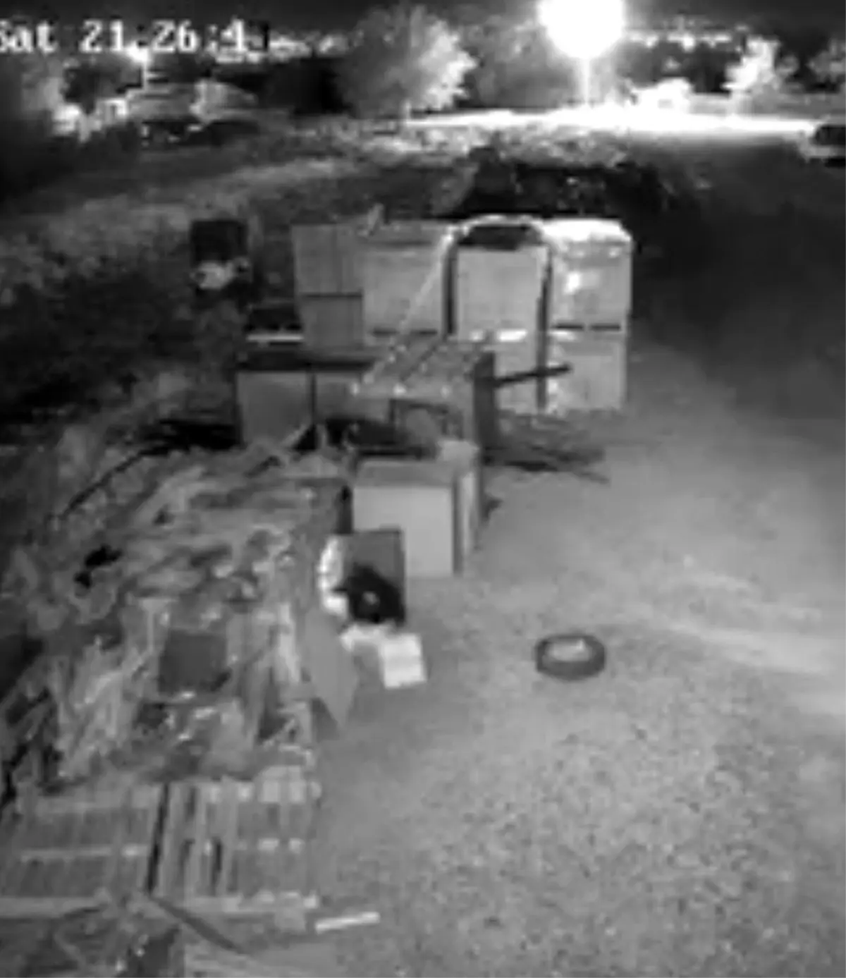 elazigda guvercin hirsizligi guvenlik kamerasinda WDMk7jgd.jpg