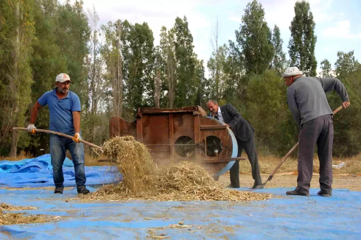 geleneksel yontemlerle kuru fasulye uretiyor vv3qj3Rp