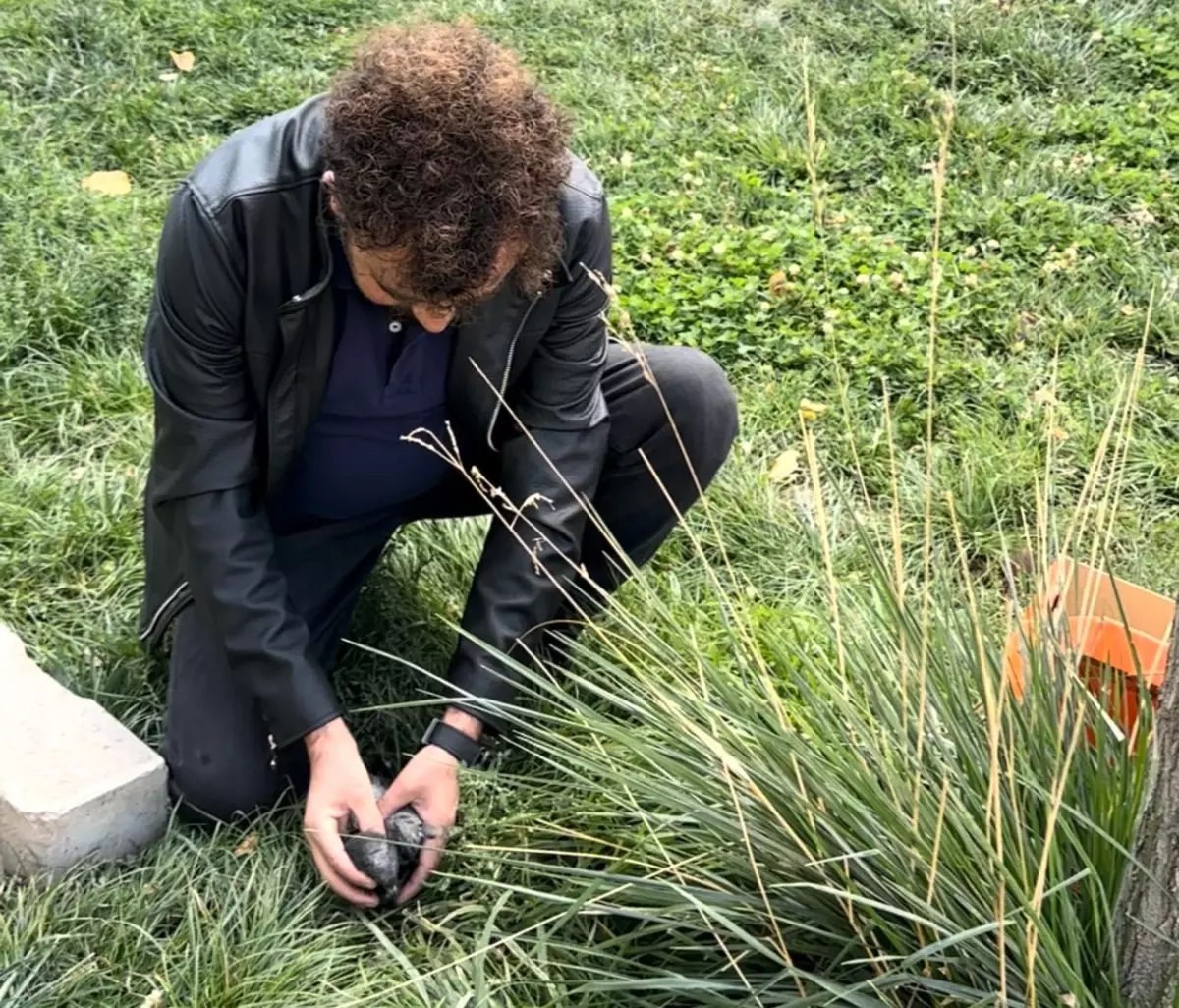 ogretmen umit bartin yarali guvercini kurtardi eNHMmNgw.jpg