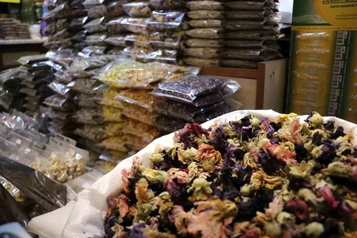 sakaryada soguk alginligina karsi aktarlara yogun ilgi ntmZMfPp