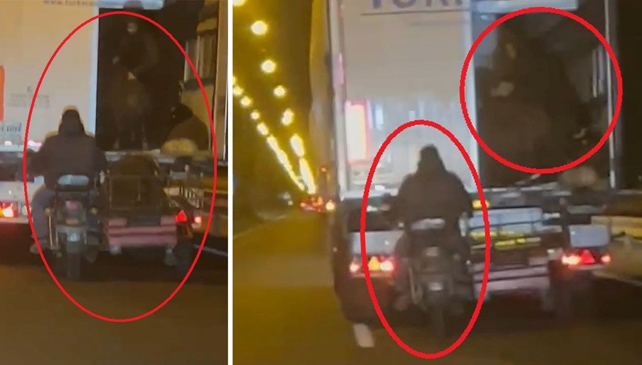 yoldaki tirdan koyun caldilar kaza yapinca hayvanlari birakip kactilar HOeyVbiq.jpg