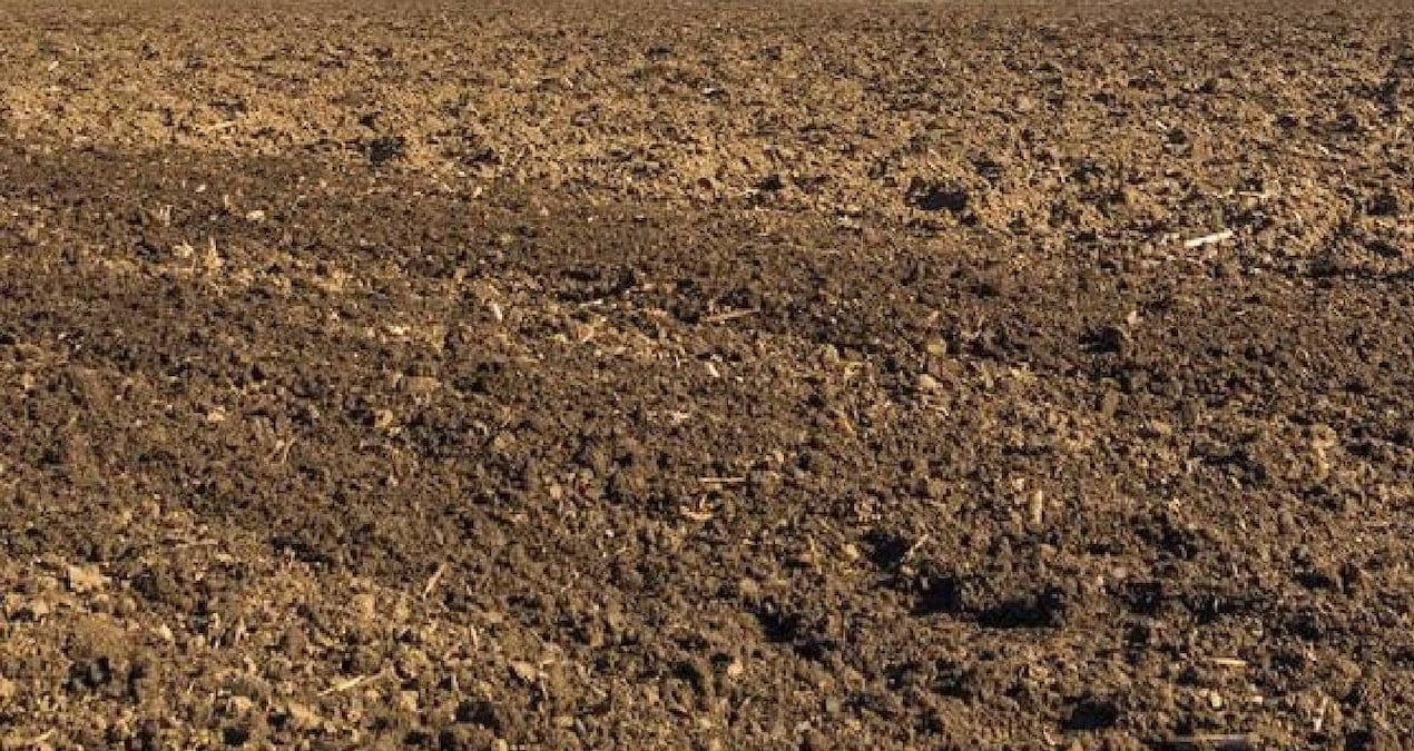 Polonya’da Tarlada Bulunan 1000 Yıllık Gümüş Yüzük Arkeolojik Keşifleri Şaşırttı