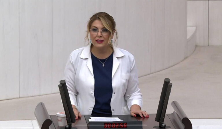 chpli-gezmis-meslektaslarinin-talebini-dile-getirdi-yesil-pasaport-eczacinin-hakkidir-usQqvPfz