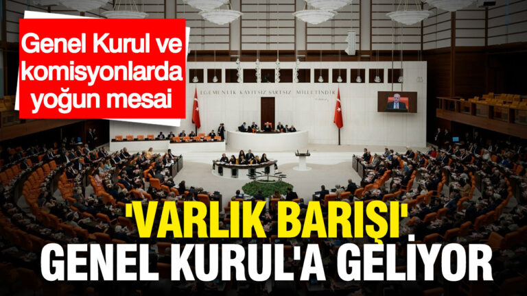 mecliste-bu-hafta-gundem-yogun-varlik-barisi-genel-kurula-geliyor-dPhDJZAQ