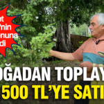 Dogadan topladigi cekirdekleri bin 500 tlye satiyor devlet bahcelinin koleksiyonuna da girdi EKcQEzfz