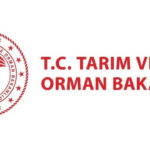 Tarim ve orman bakanligi sozlesmeli personel alimi ne zaman kadro ve brans dagilimi nedir NEuzAckG